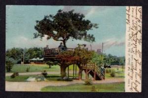 NH Canobie Lake Park NEW HAMPSHIRE POSTCARD UDB