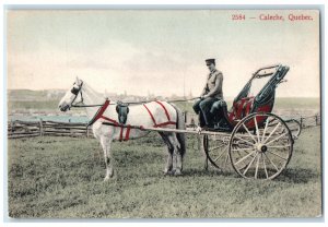 c1910 White Horse Carriage Caleche Quebec Canada Unposted Antique Postcard