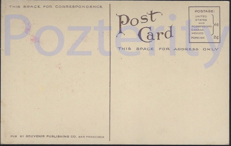 FAN PALM AND JOTGERANIUM(2656) PASADENA CALIFORNIA