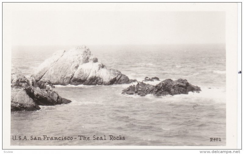 RP: San Francisco , California , 30-40s ; The Seal Rocks