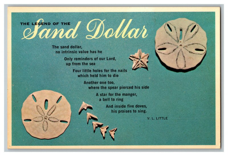 The Legend Of The Sand Dollar Vintage Postcard Continental View Card