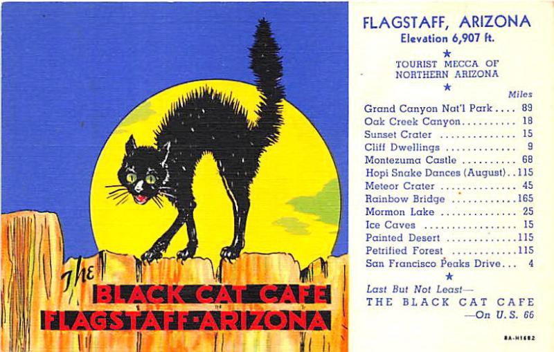 Flagstaff AZ Black Cat Cafe on U. S. 66 Curt Teich Postcard