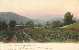 1909 Elmira New York Chemung Valley Rotograph Farming Postcard 24--10387