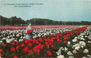 Postcard 1920s Nebraska Omaha Rosenfield Peony Gardens Lincoln Hwy NE24-3147