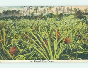 Pre-Chrome FARM SCENE Postmarked Jacksonville Florida FL AG2529