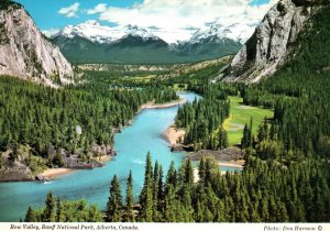 CONTINENTAL SIZE POSTCARD BOW VALLEY AREA OF BANFF NATIONAL PARK ALBERTA