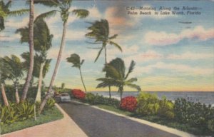 Florida Lake Worth Motoring Along The Atlantic 1955 Curteich