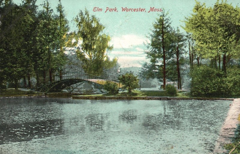 Vintage Postcard 1908 Elm Park Worcester Massachusetts MA Metropolitan News Pub.