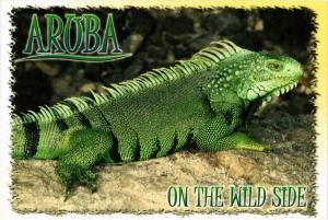 CPM On the wild side ARUBA (751160)