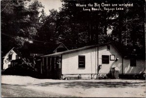 Beach Cottages Cabins Long Beach Sebago Lake ME Vintage Postcard V63