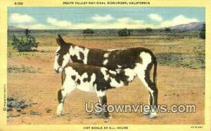 Death Valley National Monument, CA, California, Post Card