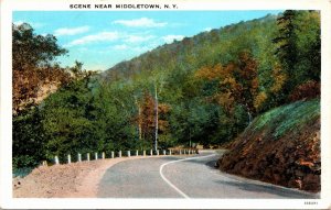 Postcard Middletown NY Road Scene through mountains