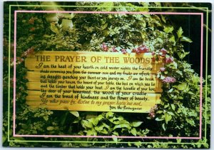 Postcard - The Prayer Of The Woods - Georgia