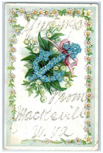 1907 Greetings From Embossed Flower Glitter Macksville West Virginia WV Postcard