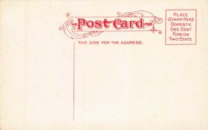Bridge and Spring, Elmwood Park, Omaha, Nebraska, Early Postcard, Unused 