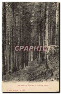 Postcard Old Tree Vosges Forest trees