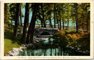 Postcard MB The Spring Clear Lake Riding Mountain National Park 1941 K50