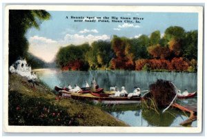 1919 A Beauty Spot On The Sioux River Near Sandy Point Sioux City IA Postcard