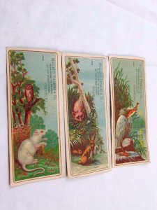 Lot of 3 Victorian Bookmarks Mallette Raymond & Co Bed Mattress Bird Rat Owl F44