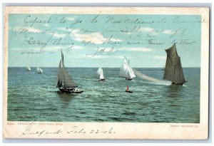 1906 Regatta At Gulfport Mississippi MS, Sailing Boat Scene Antique Postcard