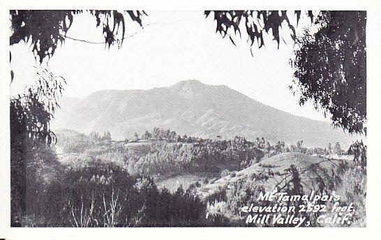 Mt. Tamalpais Elevation 2592 Feet  Mill Valley Real Photo