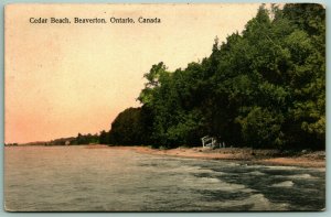 Cedar Beach Beaverton Ontario Canada J E Evans DB Postcard F10