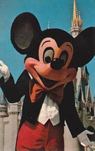 Florida Walt Disney World Welcome To Fantasyland