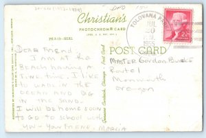 1955 Baby Seal Tolovana Park Oregon OR DPO (1933-1974) Vintage Postcard