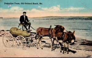 Maine Old Orchard Beach The Peanutine Team 1918