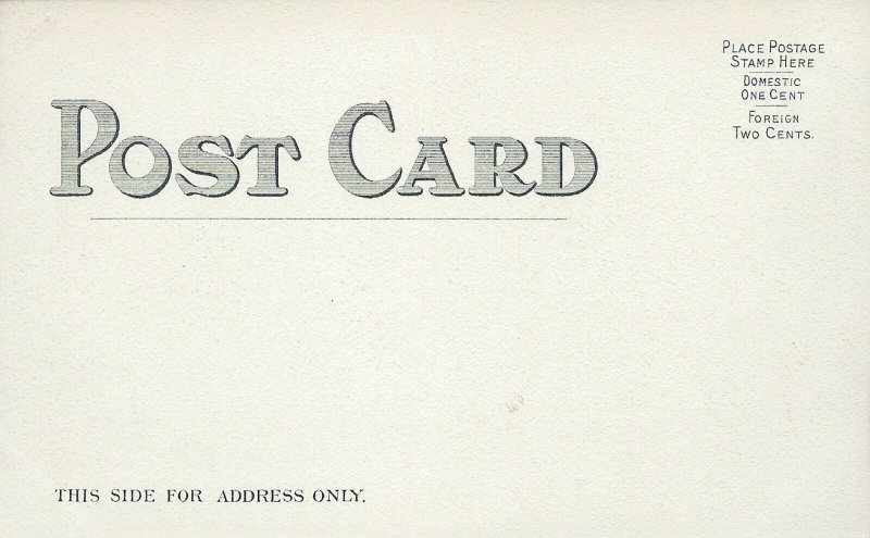 Netherland and Savoy Hotels, New York City, N.Y., Early Postcard, Unused