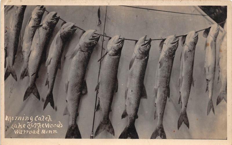 E54/ Warroad Minnesota Photo RPPC Postcard 1920 Lake of the Woods Fish