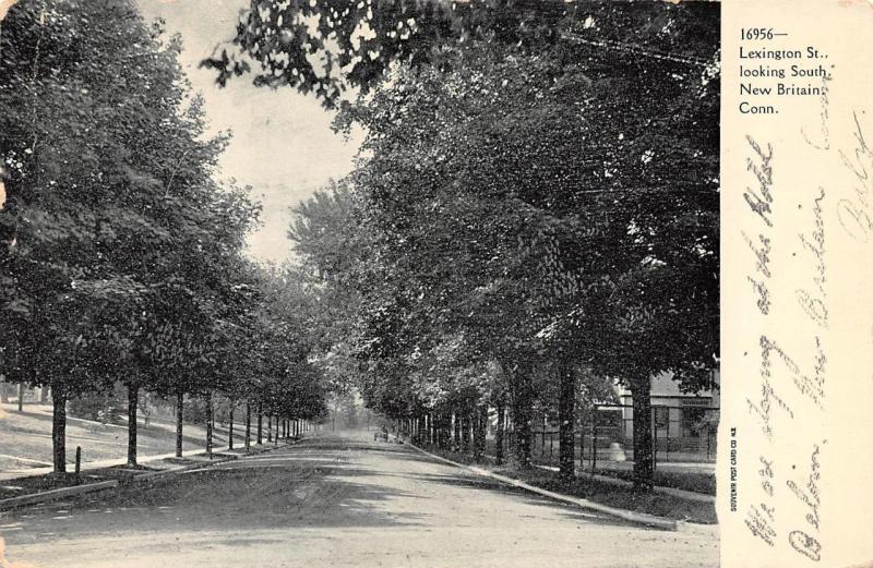 NEW BRITAIN, CT Connecticut  LEXINGTON STREET SCENE  Homes  c1900's UDB Postcard