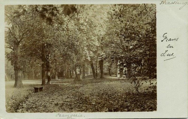 france, STRASBOURG STRASSBURG, Alsace, Parc de l'Orangerie (1903) RPPC