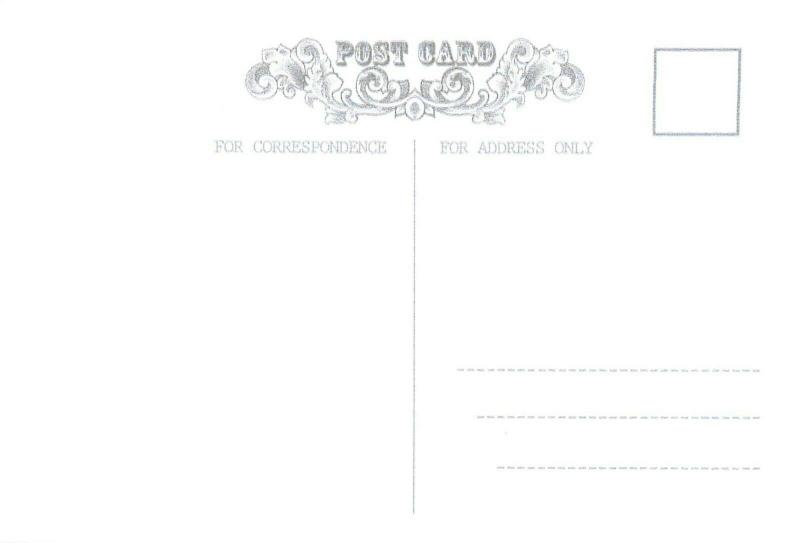 Repro postcard animal dogs J. Hartung