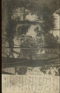 Scenic View - Mount Dora FL Cancel c1908 Real Photo Postcard