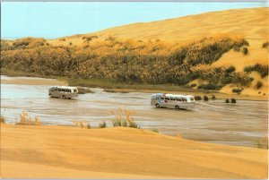 Te Paki Stream Showing Tour Buses Traveling from Kaitaia to Cape Reinga Postcard