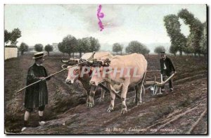 Vichy Postcard Old Plowing around