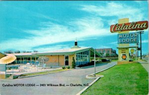 Charlotte NC North Carolina CATALINA MOTOR LODGE Roadside Motel ca1960s Postcard