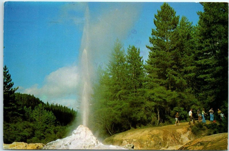 Postcard - Lady Knox Geyser, Waiotapu, New Zealand 