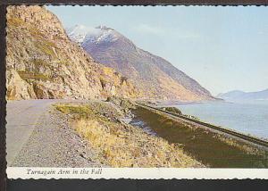 Turnagain Arm in the Fall Alaska Postcard BIN 
