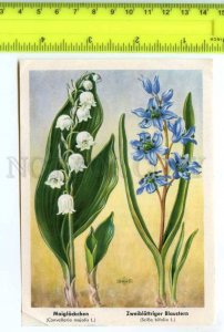 420841 GERMANY flowers Canvallaria majalis Vintage Tobacco Card w/ ADVERTISING