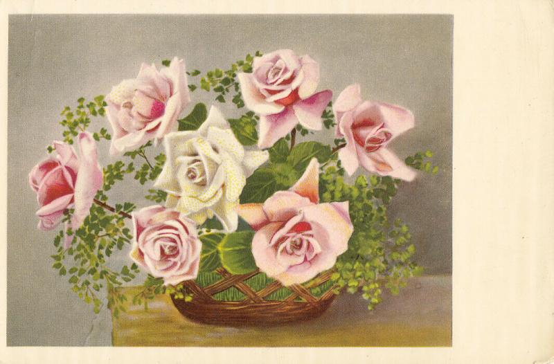 Roses postcard
