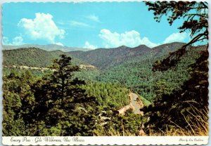 M-23185 Emory Pass Gila Wilderness New Mexico