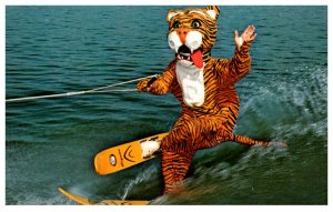 Florida  Cypress Gardens,  Timmy the Tiger