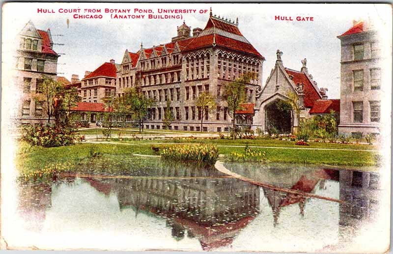 Postcard SCHOOL SCENE Chicago Illinois IL AK6763