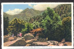 Chimney Tops,Great Smoky Mountain Park