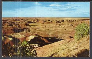 Painted Desert,AZ BIN