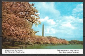 Washington DC - Washington Monument -  [DC-129]