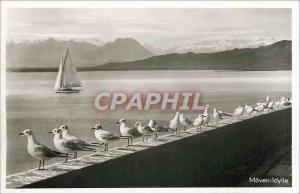 Postcard Modern Romance Moven Seagulls Boat