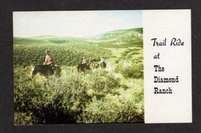 WY Diamond Guest Ranch CHUGWATER WYOMING PC Horses